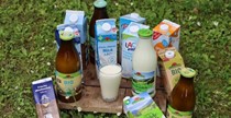 Verschiedene Milch und -Milchprodukte