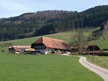 Schwarzwaldhof im Grünen mit Zufahrtsweg Link zu den Seiten des Vereins landwirtschaftlicher Fachschulabsolventen Ortenau