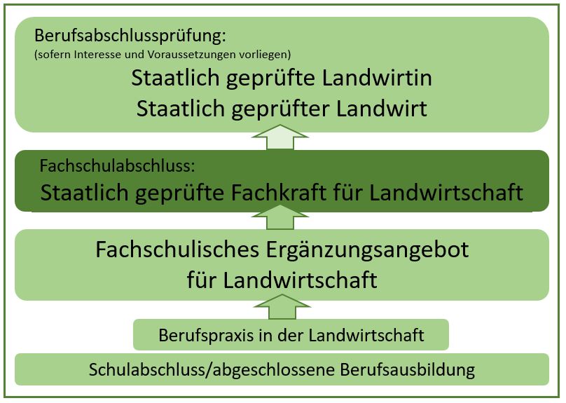 Grafik Landwirtschaft Berufsausbildung, AfLandw