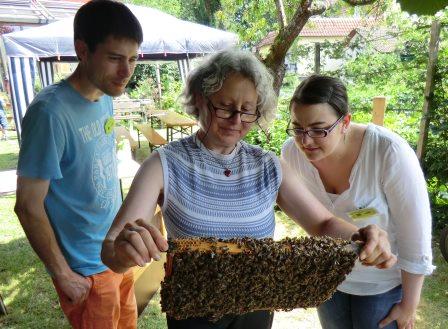 Frau Krög zeigt Interessierten eine Bienenwabe