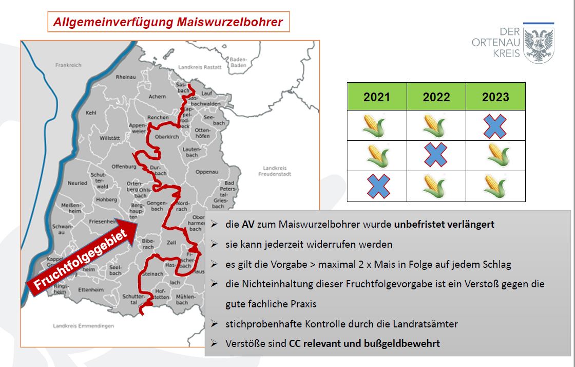 Gemarkungen mit Fruchtfolgeregelung Maiswurzelbohrer