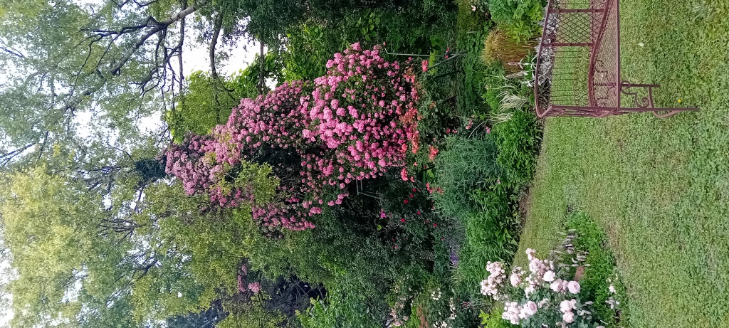 Bilder anzeigen
