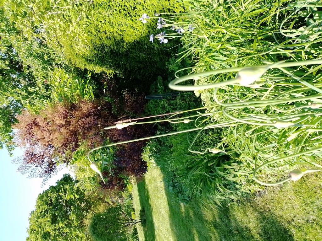 Aktion des LRA Ortenau, Offene Gartentüre