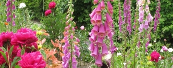 Aktion offene Gartentür des Landratsamts Ortenaukreis