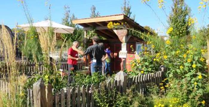 Gartenhäuschen im Grünen, Weiterleitung Seite Obst- und Gartenbauberatung