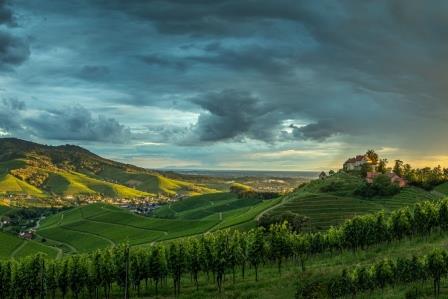 Schwendemann Robert_ Durbach Staufenberg