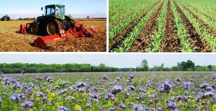 Collage Ackerbauseite, Weiterleitung Seite Ackerbauberatung