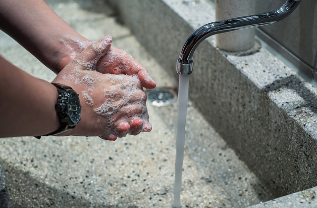 Schulung LM-Hygiene und LM Kennzeichnung