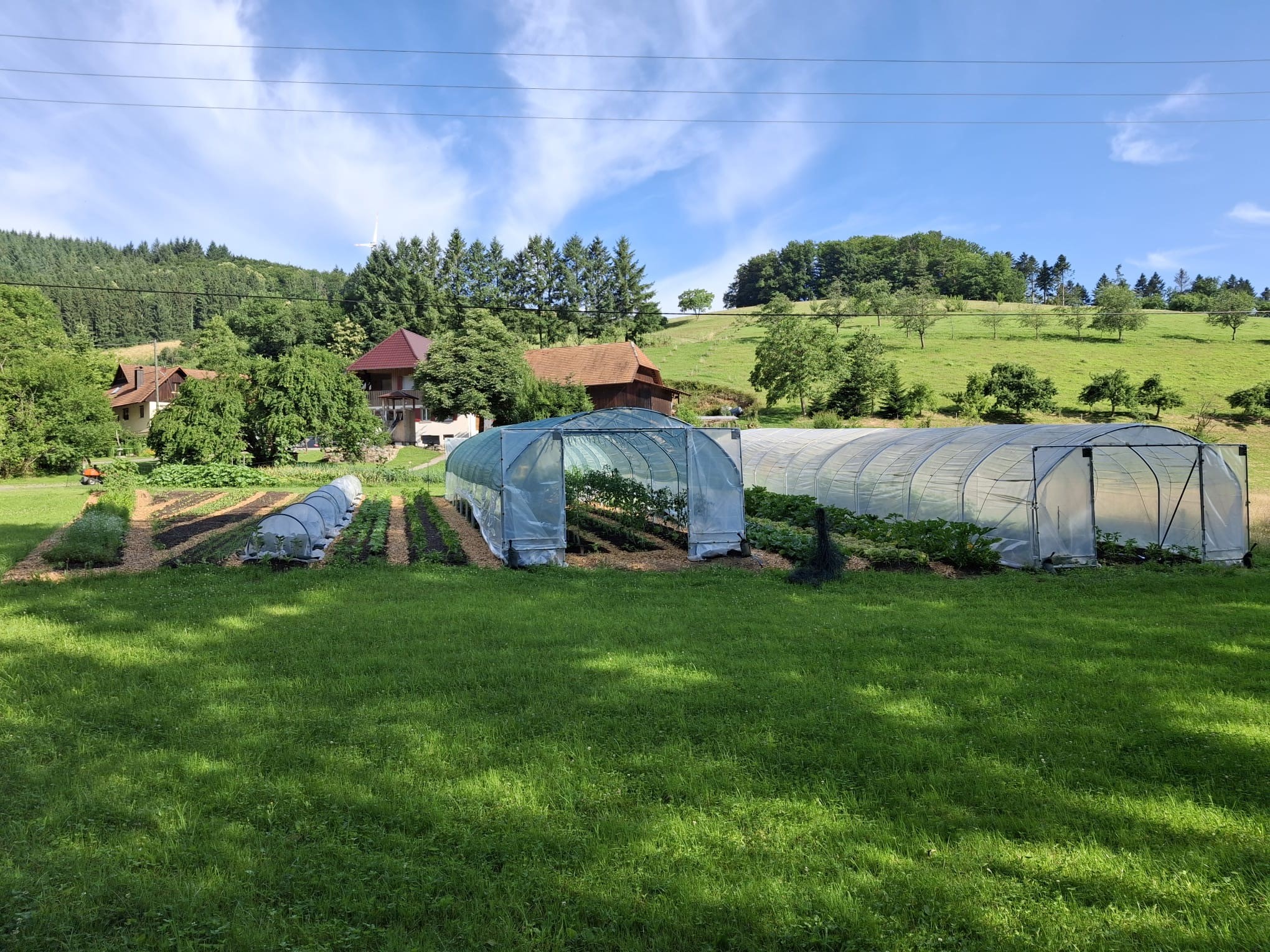 Ignazhof