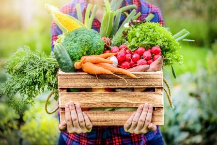 Gemüsekiste_shutterstock Gemüsekiste_shutterstock