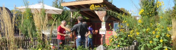 Gartenhäuschen im Grünen