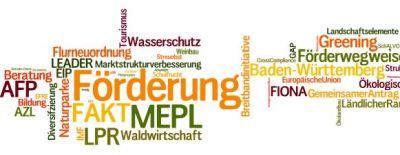 FWW-MLR Link zu Informationen GA