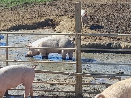 2025 09 27 Fachschulexkursion Schweiz 5.jpg 2025 09 27 Fachschulexkursion Schweiz 5.jpg