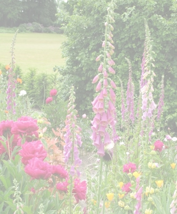 Aktion des LRA Ortenau, Offene Gartentüre