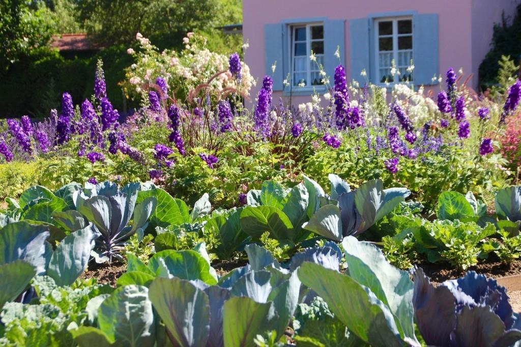 Aktion des LRA Ortenau, Offene Gartentüre