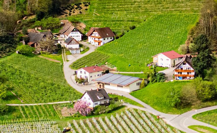 Obsthof Korberg Oberkirch