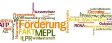 FWW-MLR Link zu Informationen GA