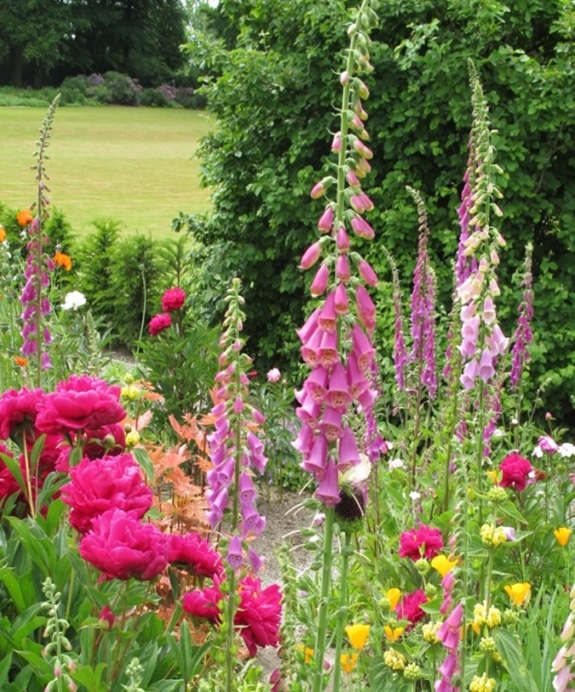 Aktion des LRA Ortenau, Offene Gartentüre