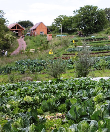 Aktion des LRA Ortenau, Offene Gartentüre