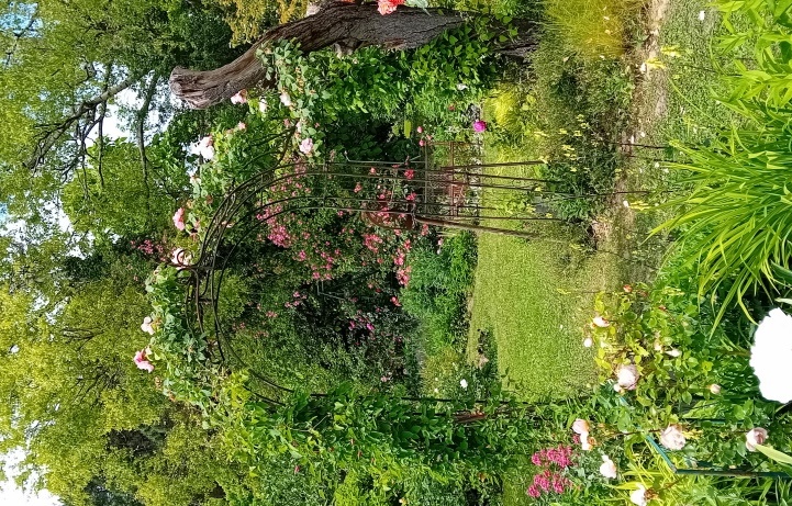 Aktion des LRA Ortenau, Offene Gartentüre